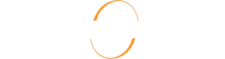 Dolphin Air FZE logo, white version